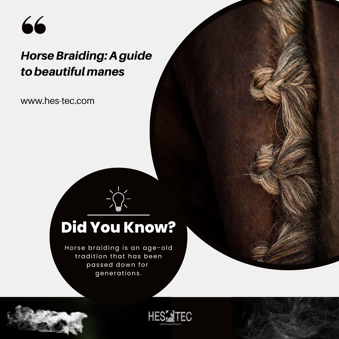 Horse Braiding Supplies