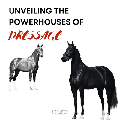 Unveiling the Powerhouses of Dressage