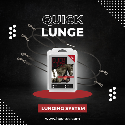 Potenzial freisetzen: Quick Lunge, Ihr benutzerfreundliches Lunging-System
