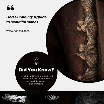 Pferdeflechten: Ein Leitfaden für eine atemberaubende Mähne