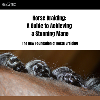 Horse Braiding: A Guide to Achieving a Stunning Mane