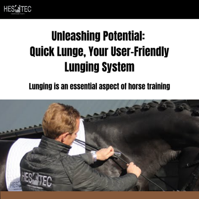 Unleashing Potential: Quick Lunge, Your User-Friendly Lunging System