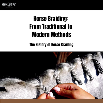 Horse Braiding: From Traditional to Modern Methods